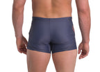 High-quality image of speed zwemboxer grey
