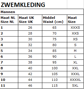 High-quality image of zwemslip essential zwembroek heren grijs
